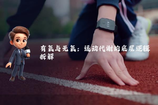有氧与无氧：运动代谢的底层逻辑拆解