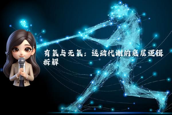 有氧与无氧：运动代谢的底层逻辑拆解