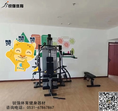 为您提供私家健身房和企事业单位健身房、学校健身房、部队健身房等多种健身房健身器材的解决方案，