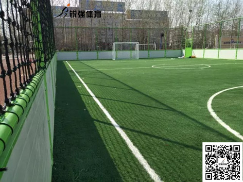 淄博市恒台县第二实验小学足球场地