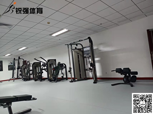 济南某集团采购的提供的健身器材健身房配置展示无氧力量器械展示有氧运动器械展示