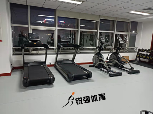 济南某集团采购的提供的健身器材健身房配置展示无氧力量器械展示有氧运动器械展示